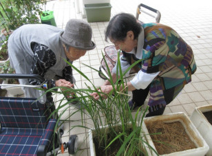 納涼祭の様子1